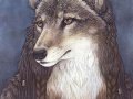 redwolf.jpg